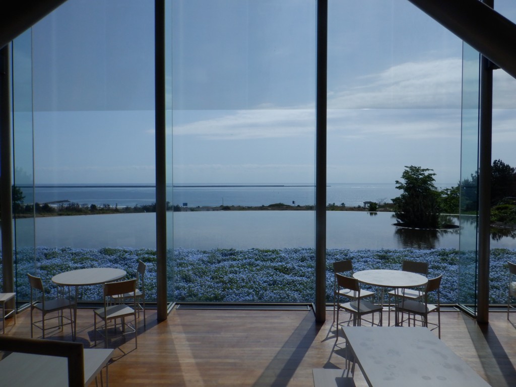 ネモフィラ【グラスハウス】に関するページ