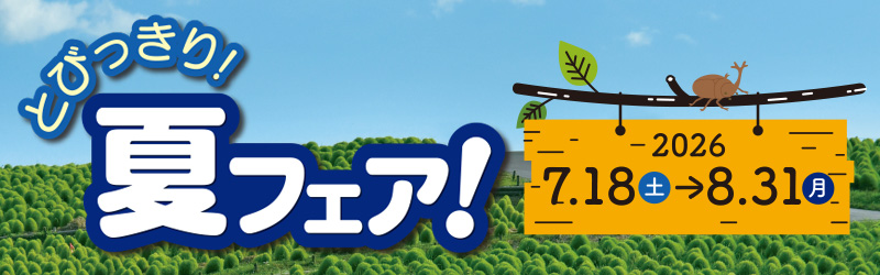 夏特集バナー・夏フェア