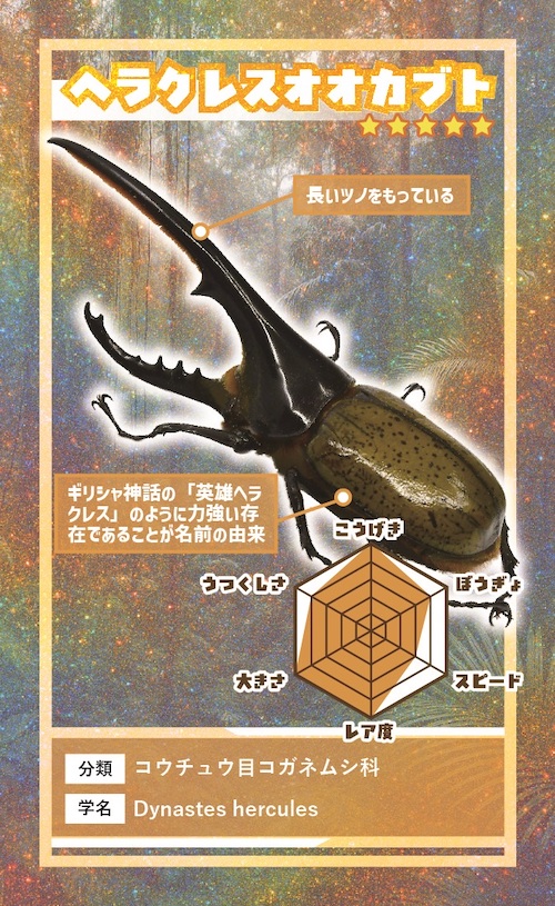 カブトムシカード
