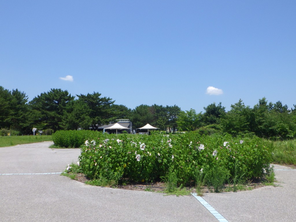 サンプル画像3