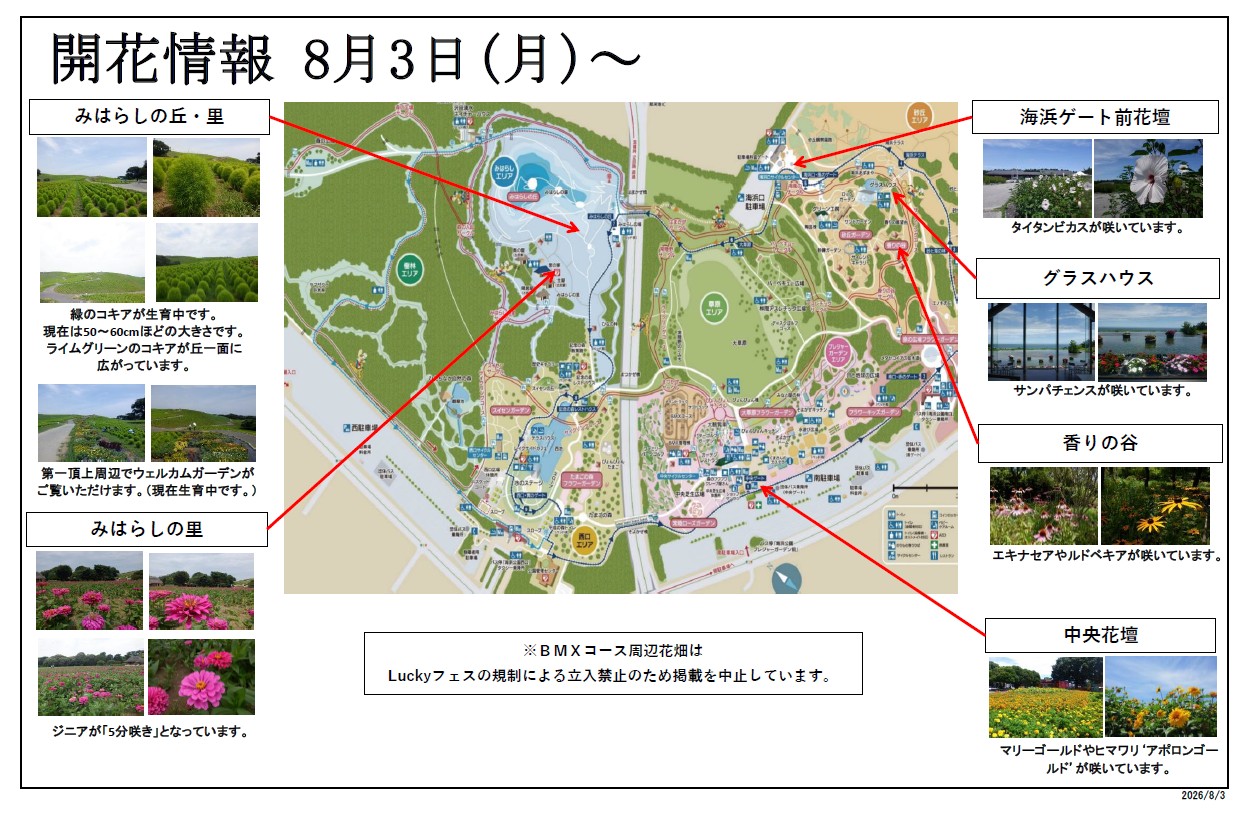 最新の開花情報に関するページ