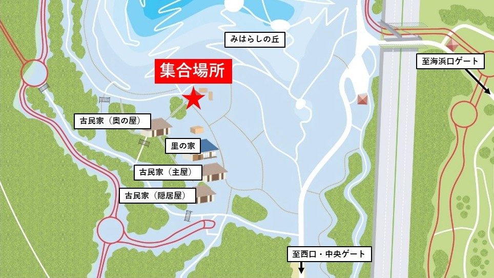 集合場所(ハマナスで染色体)