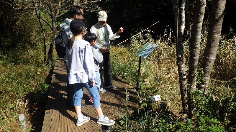 沢田湧水地ガイド