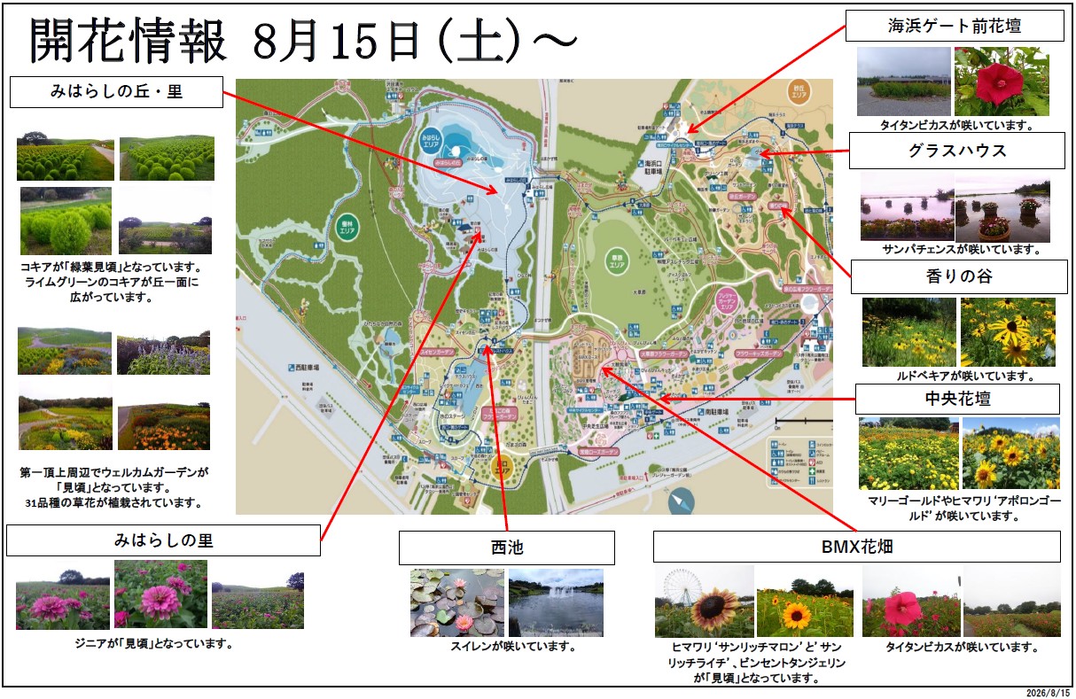 最新の開花情報に関するページ