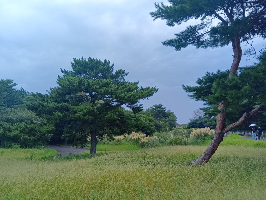サンプル画像1