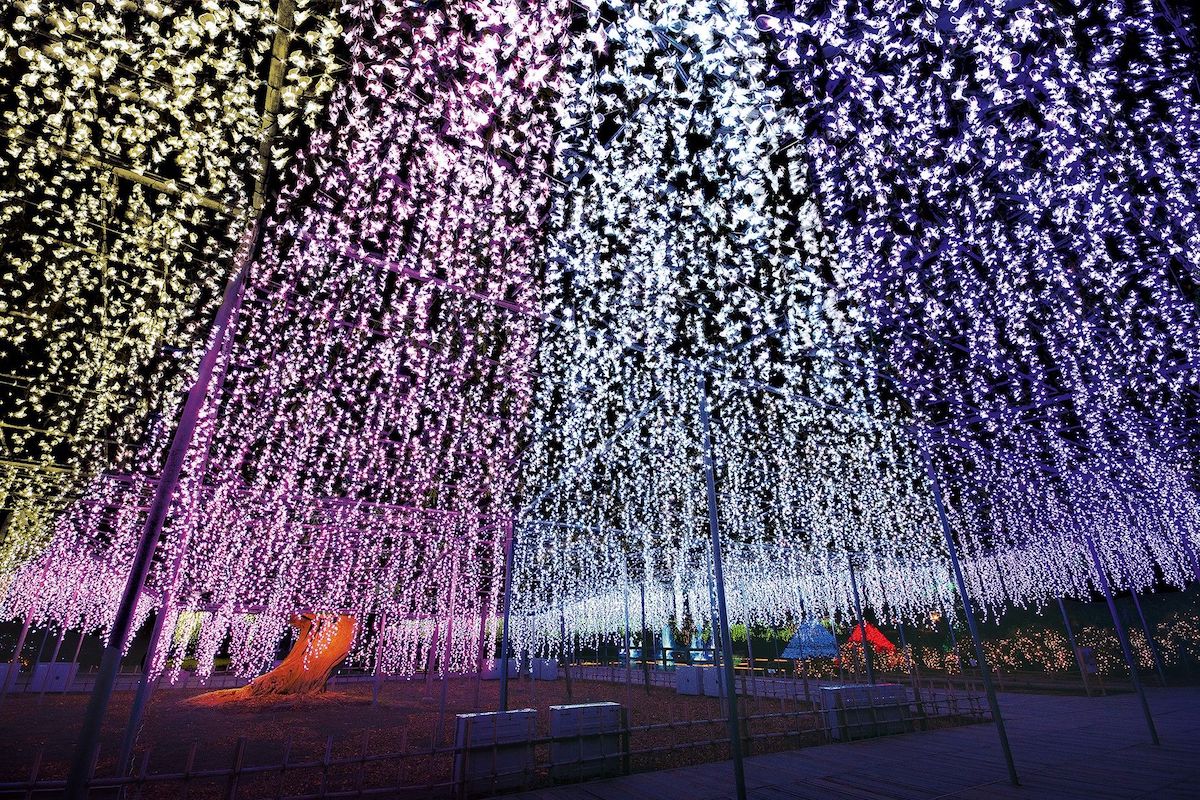 あしかがフラワーパークの写真