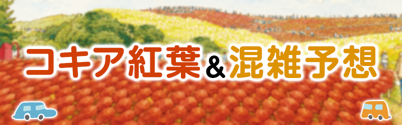 コキア紅葉＆混雑予想へのリンク