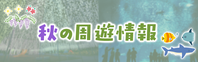 秋の周遊情報へのリンク