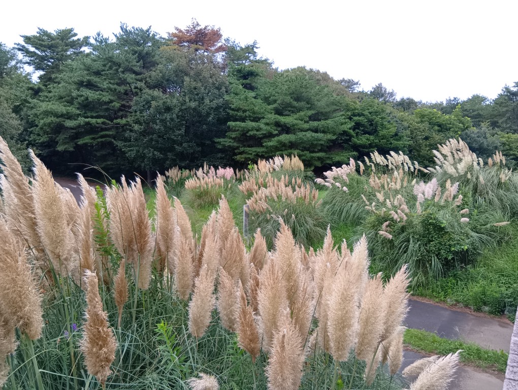 サンプル画像1