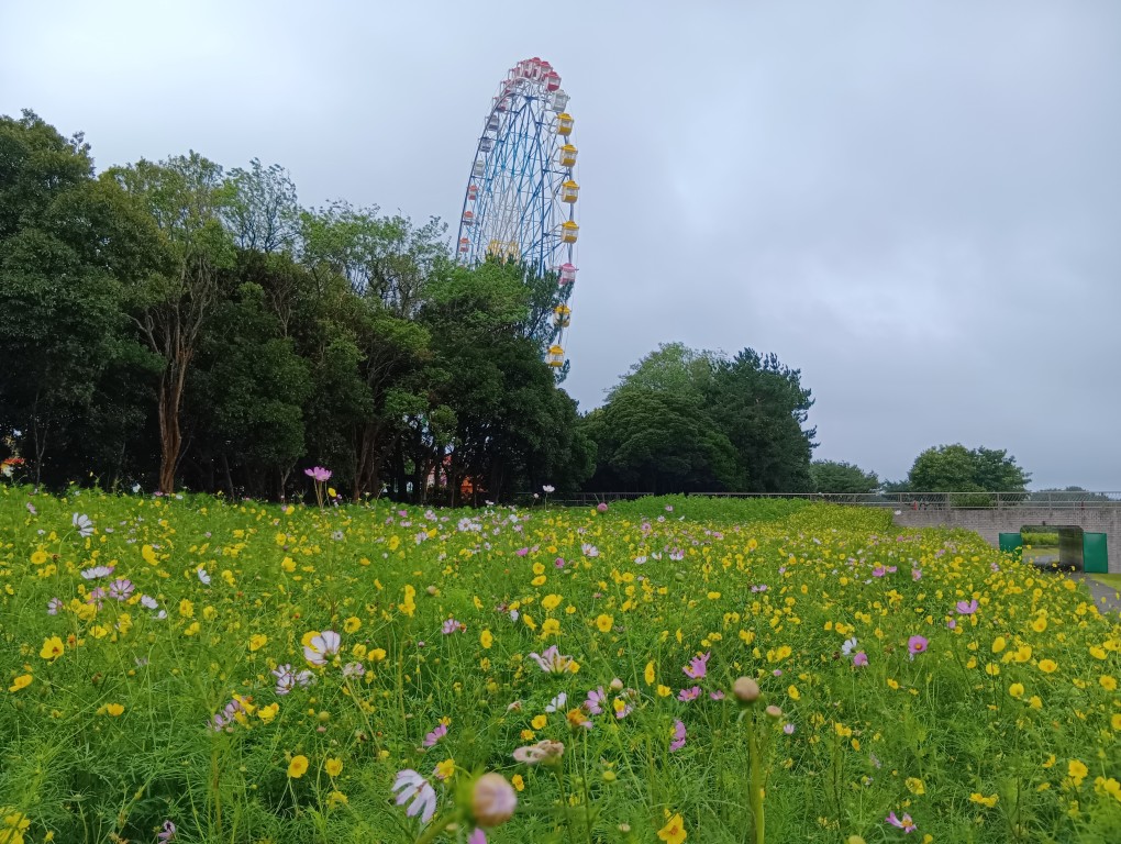 サンプル画像1