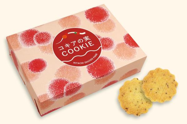 コキアの実cookie