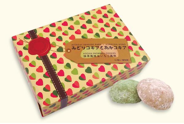 みどりコキアとあかコキア