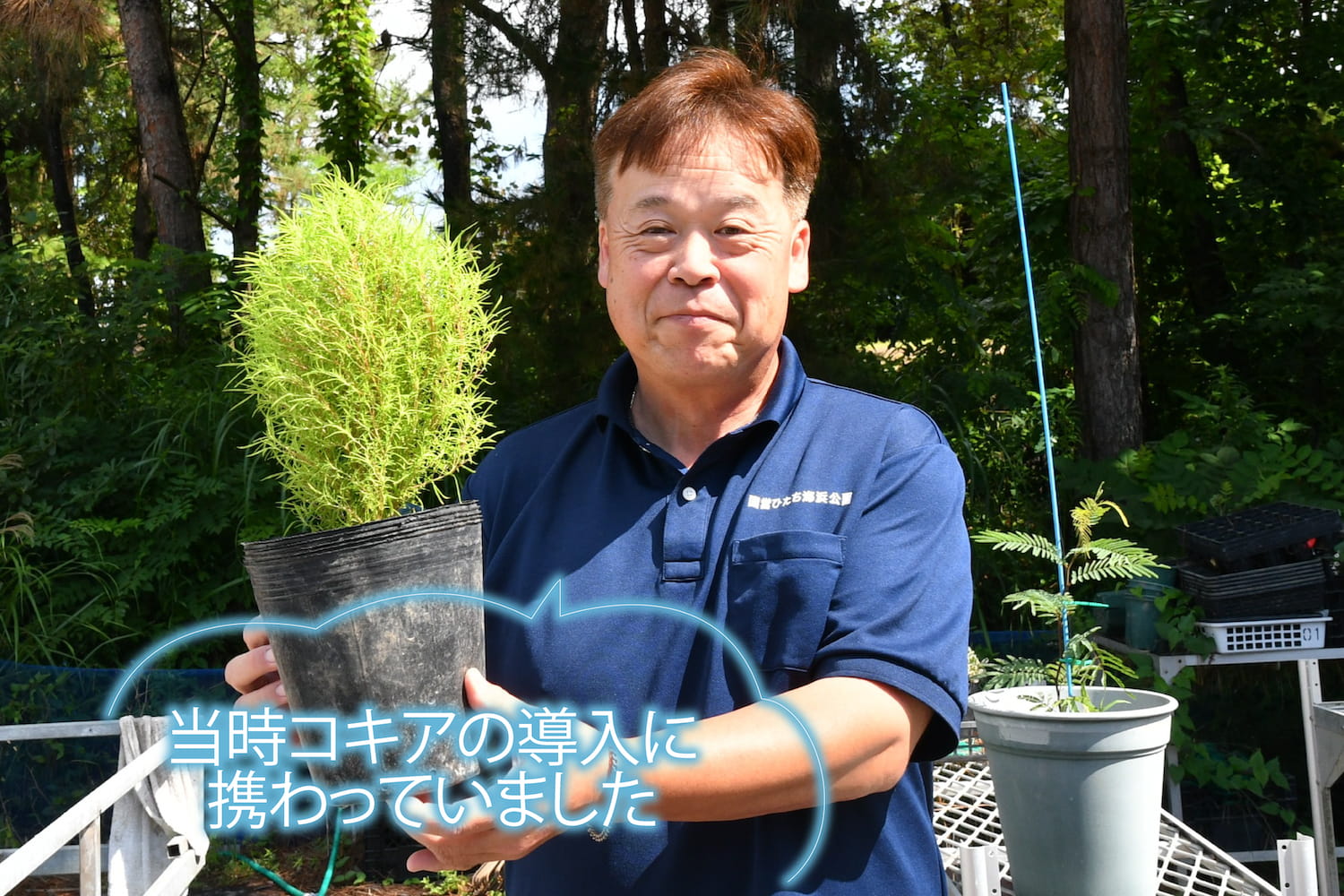 当時コキアの導入に携わっていたスタッフ