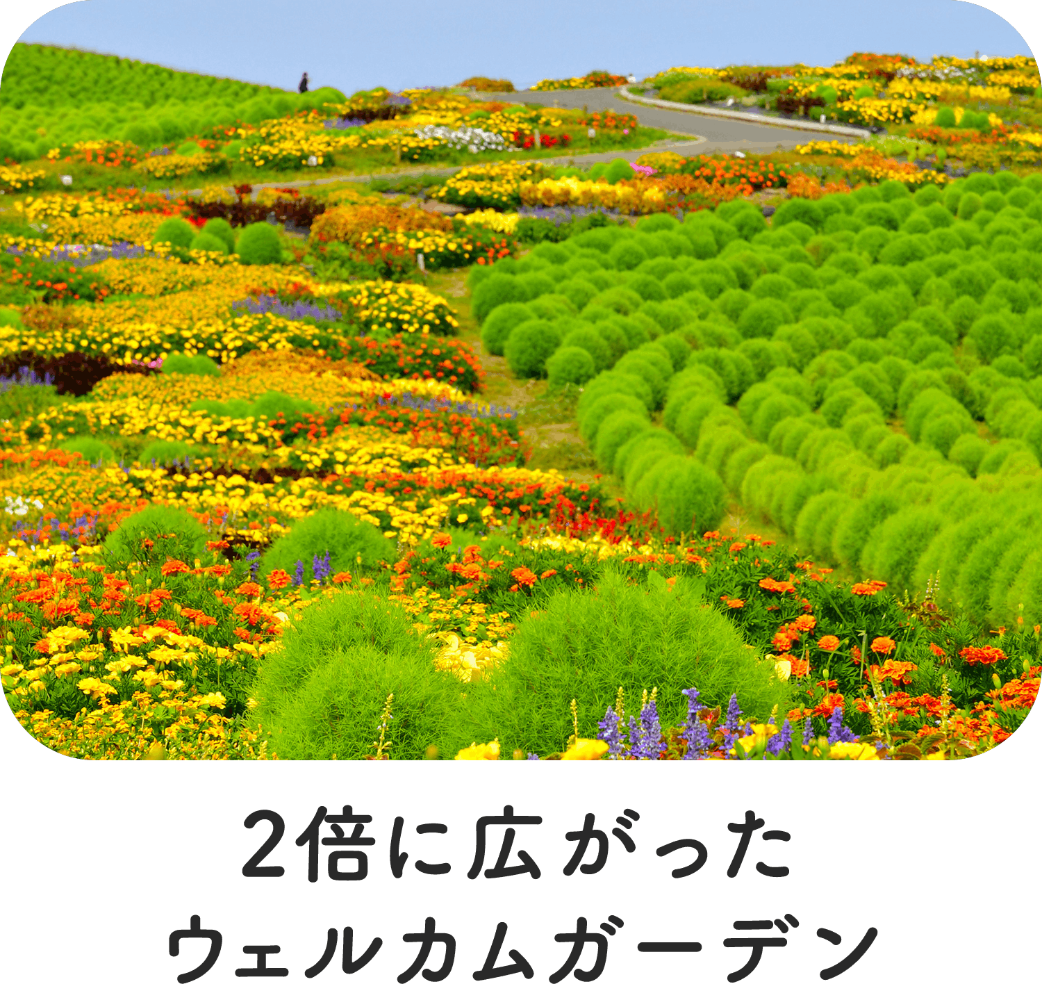 2倍に広がったウェルカムガーデン