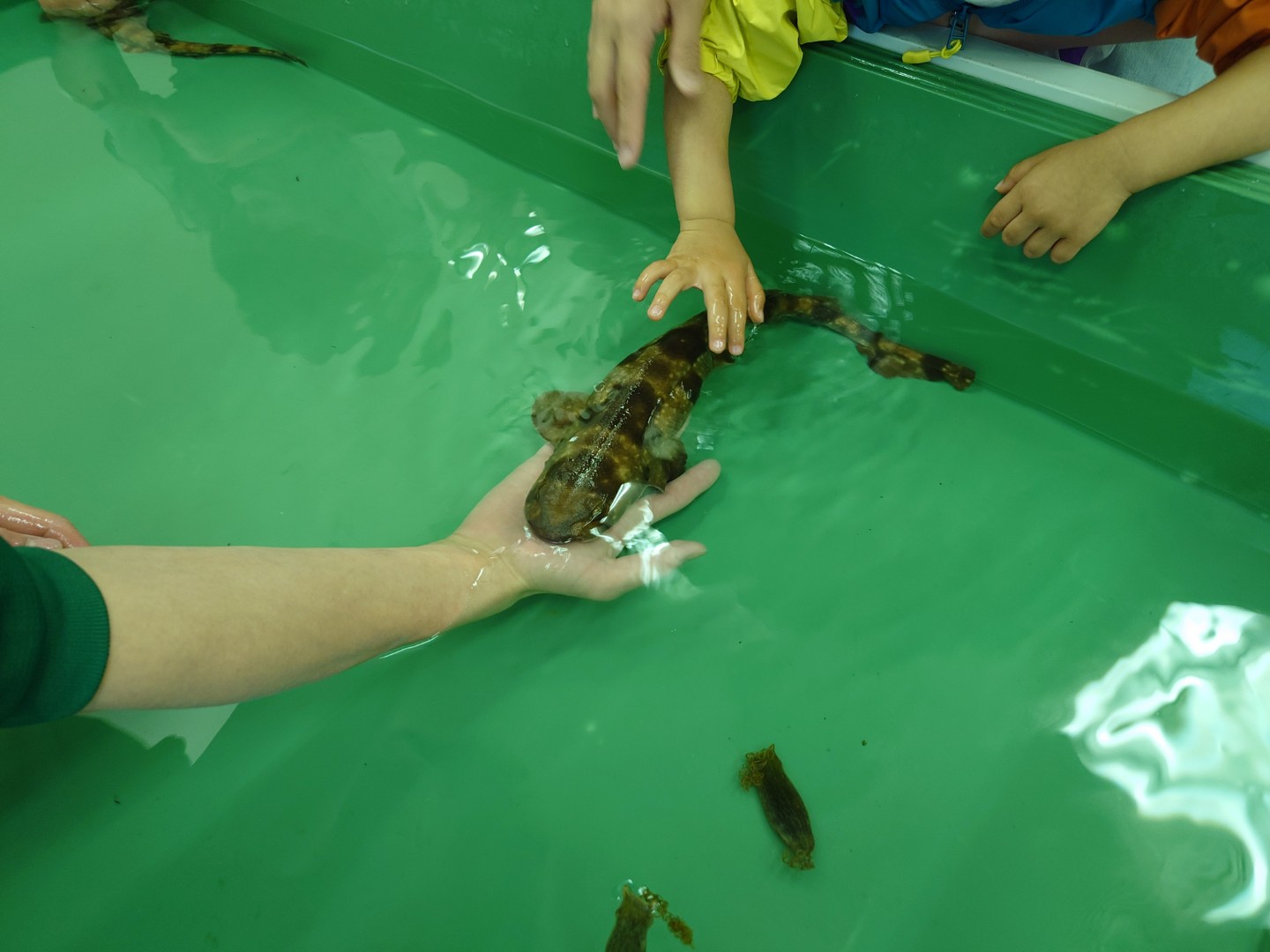 水族館