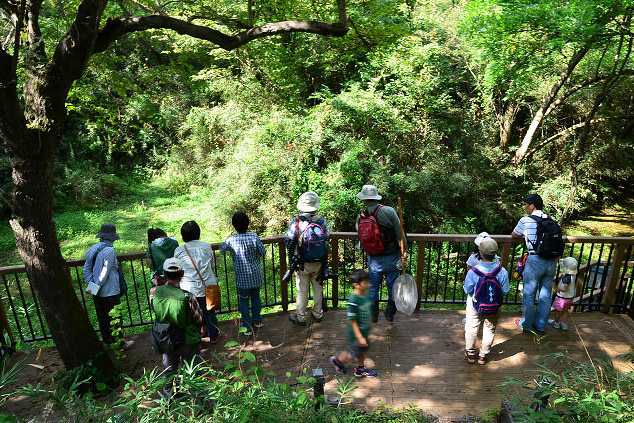 沢田湧水地2