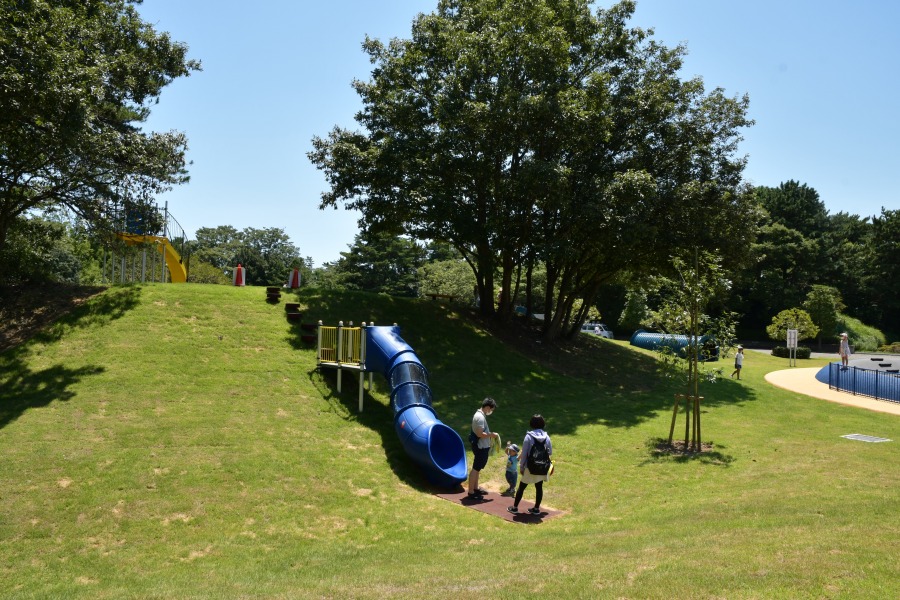 月と地球の広場6