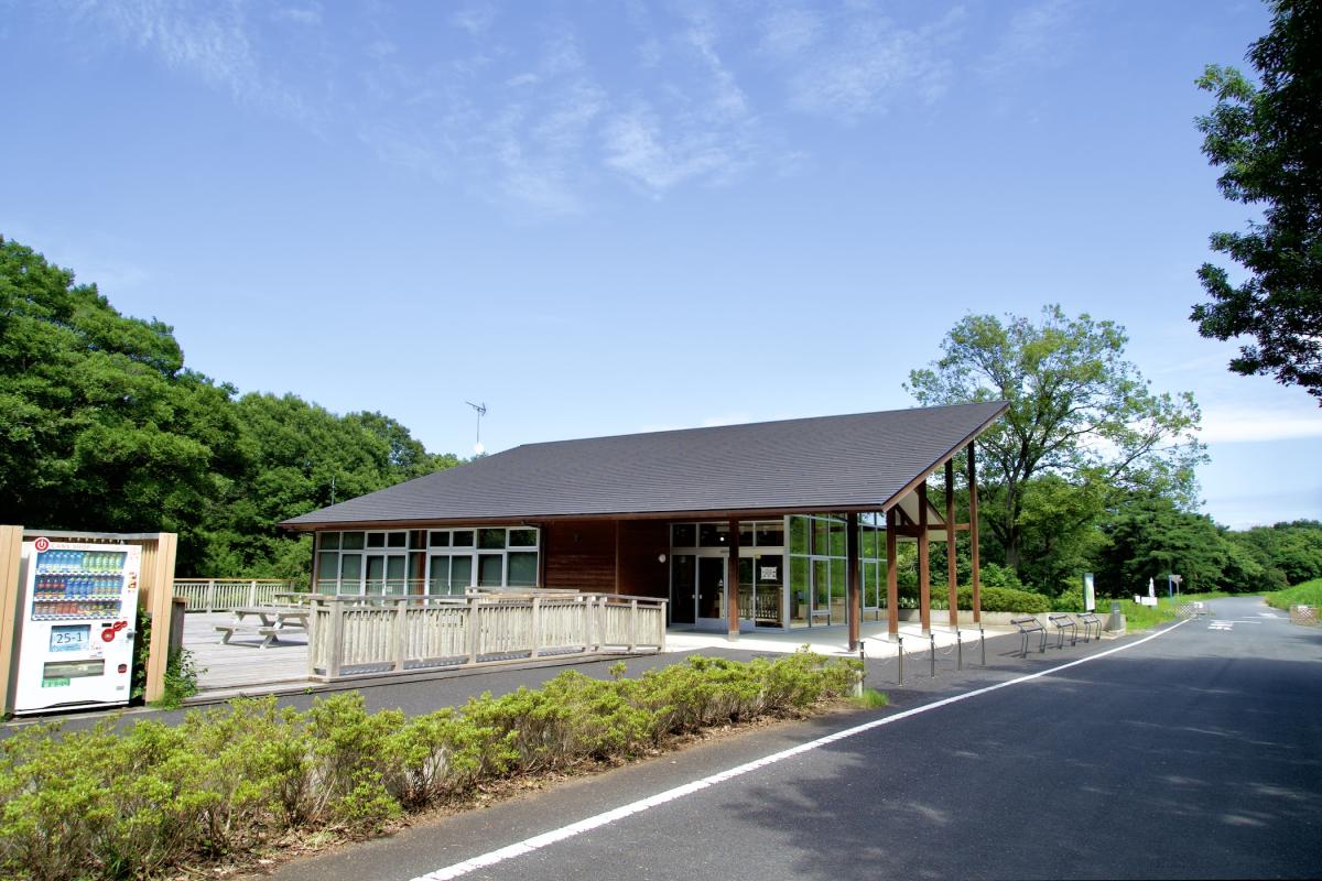沢田湧水ネイチャーハウス02