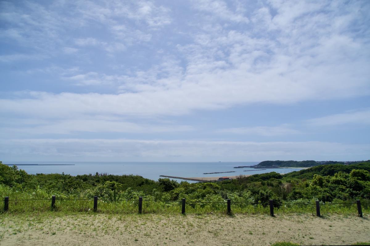 砂と海の林3