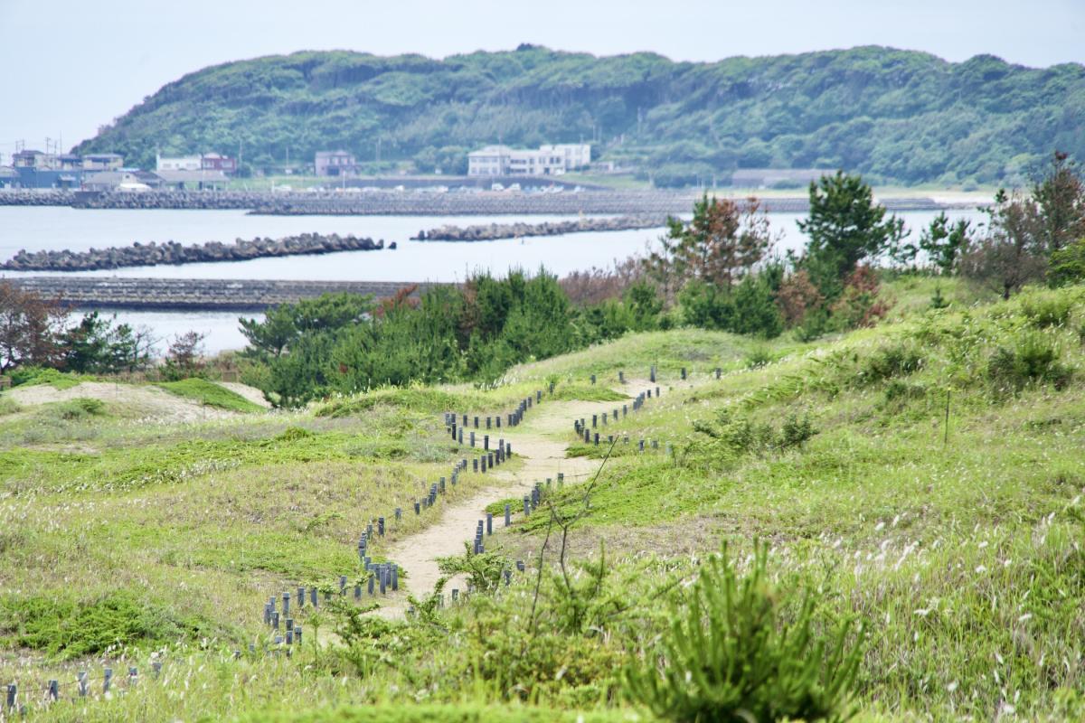 砂丘観察園路9