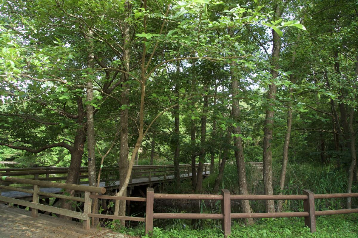 ひたちなか自然の森3