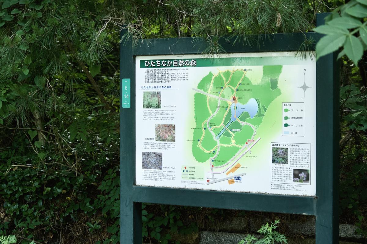 ひたちなか自然の森14