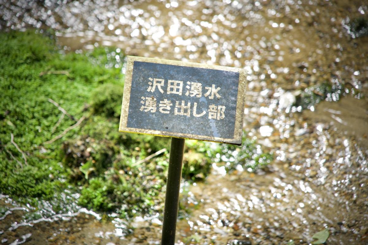 沢田湧水地5