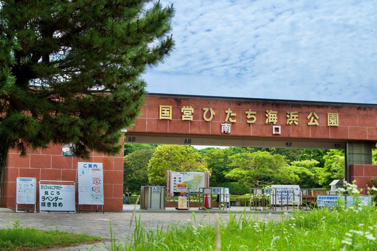 南口・赤のゲートの紹介