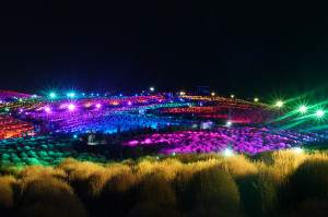 コキアライトアップ