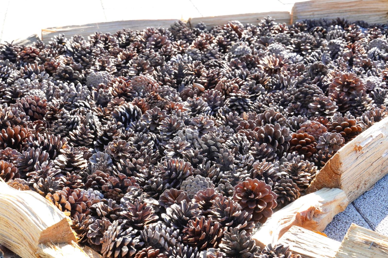 251206_地上絵制作