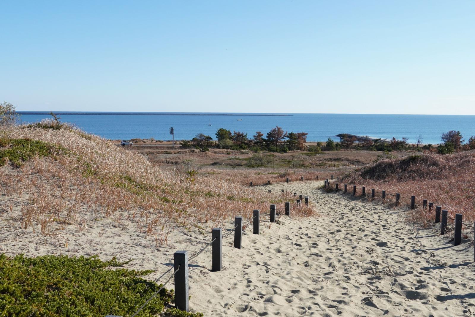 251206_砂丘観察園路