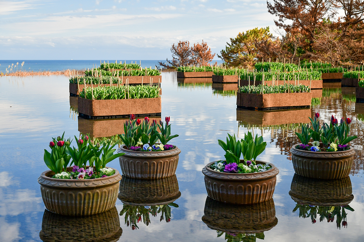 251217_アイスチューリップ