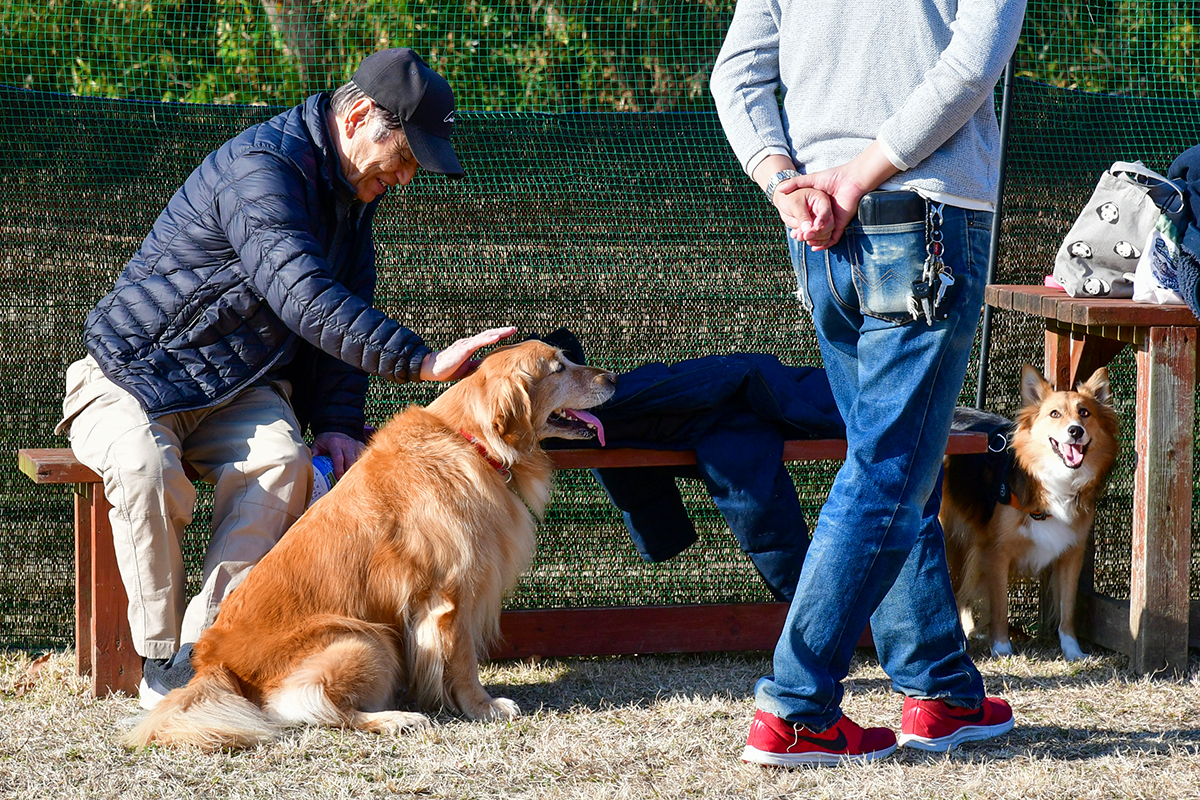 251217_ドッグラン