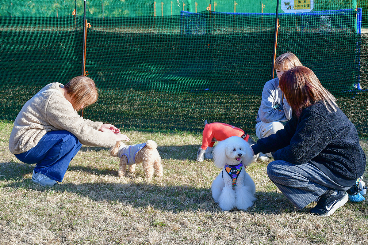 251217_ドッグラン2