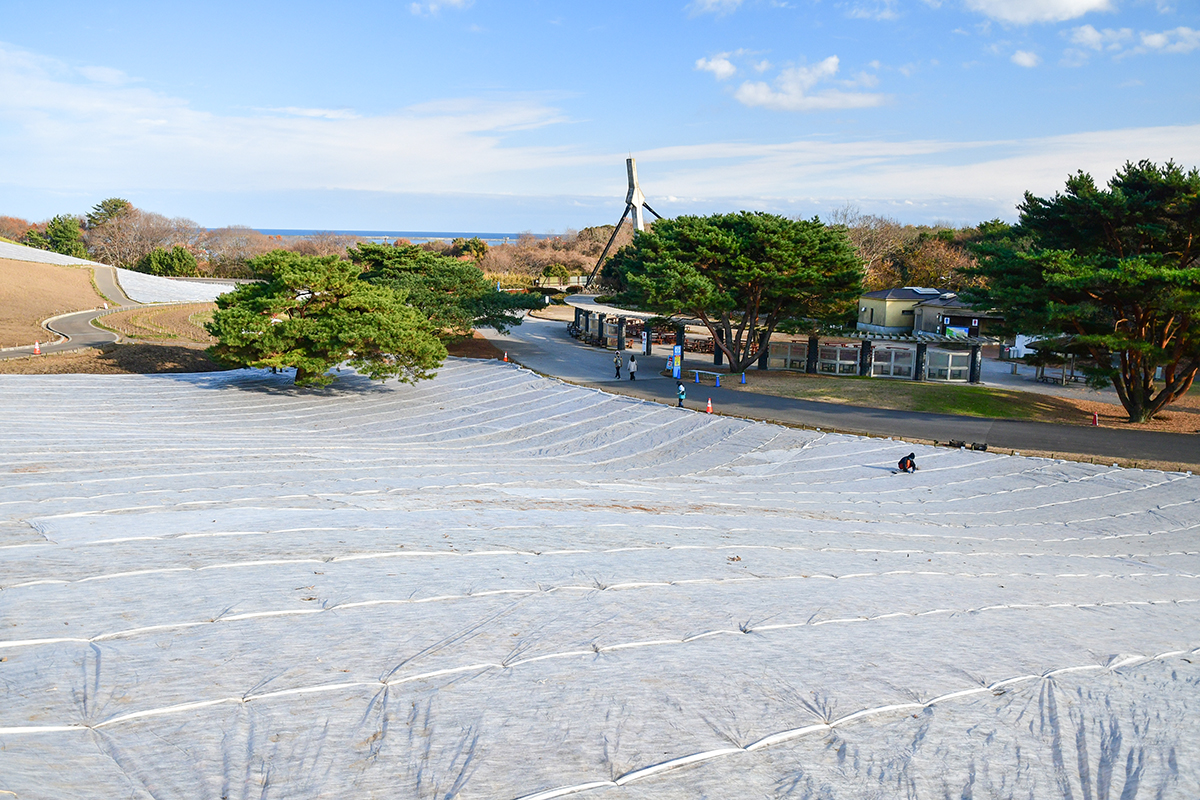 251217_みはらしの丘