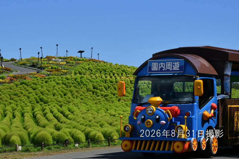 260831トレイン