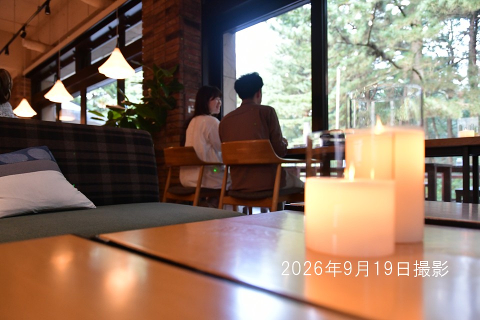 26919記念の森