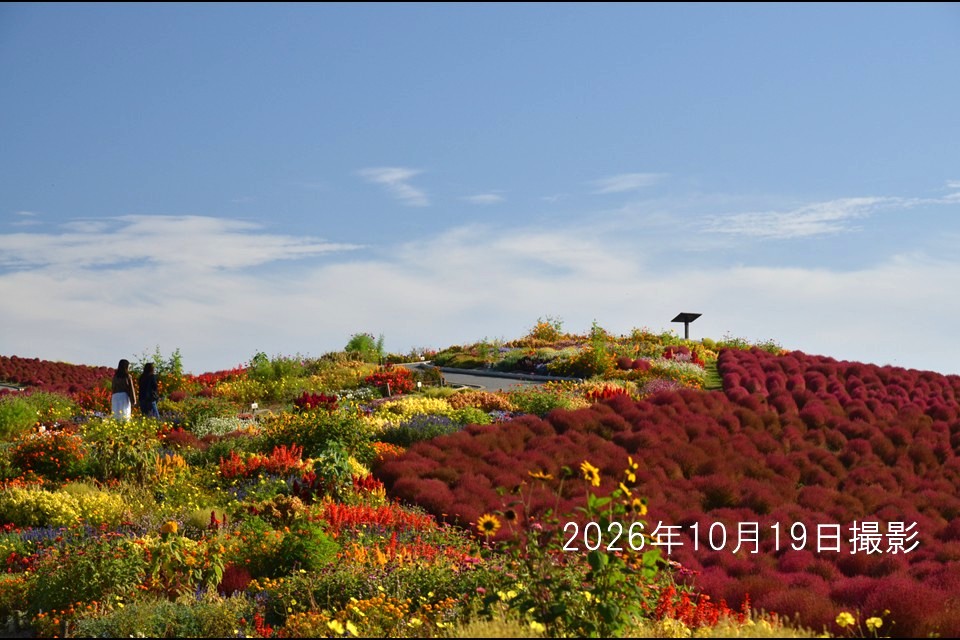 261019_ウェルカムガーデン