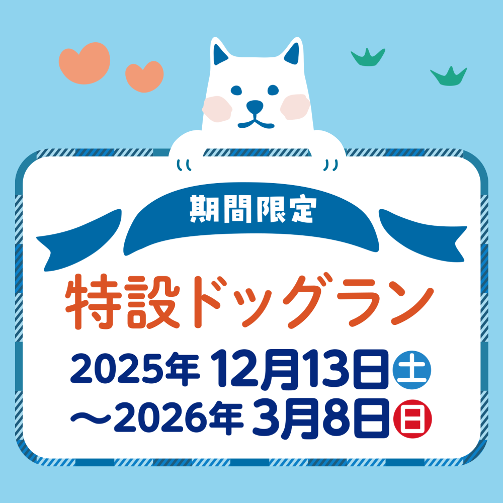 期間限定ドッグラン開催