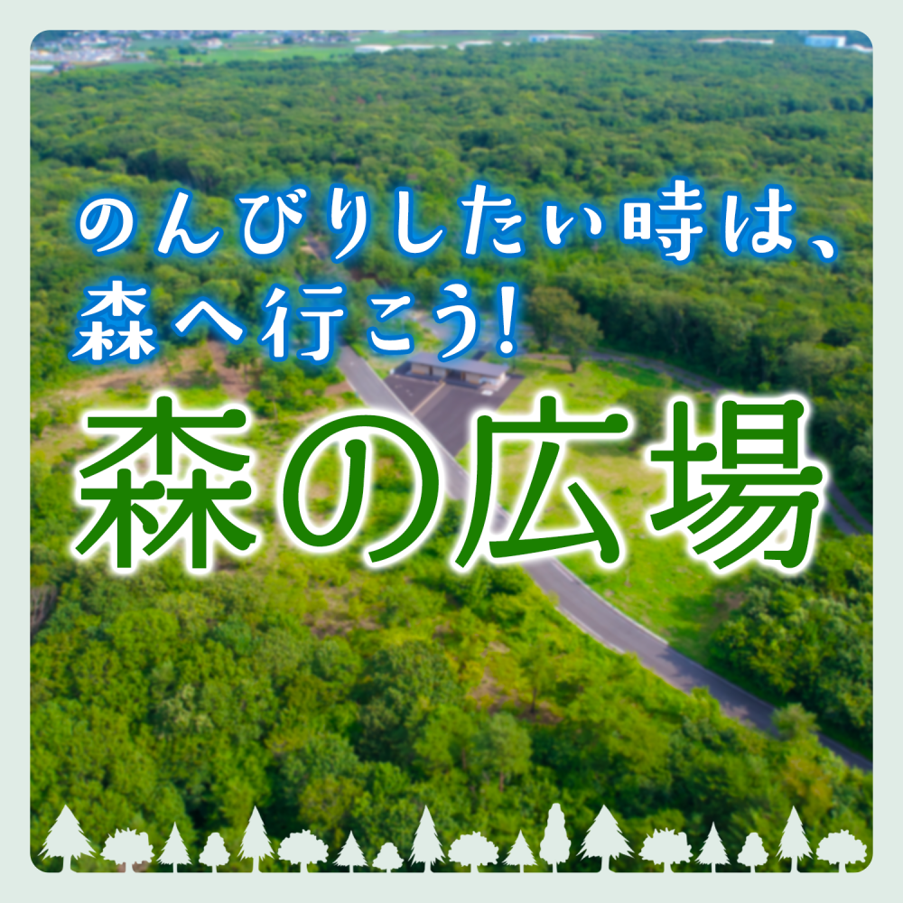 のんびりしたい時は、 森へ行こう！