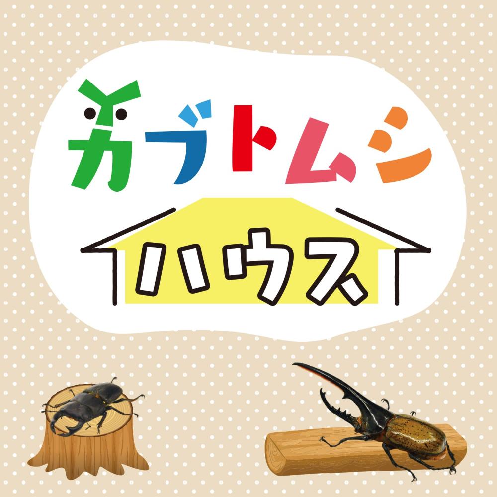 カブトムシハウス