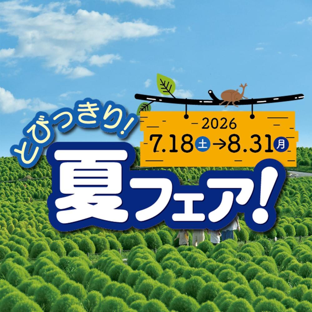 とびっきり！夏フェア