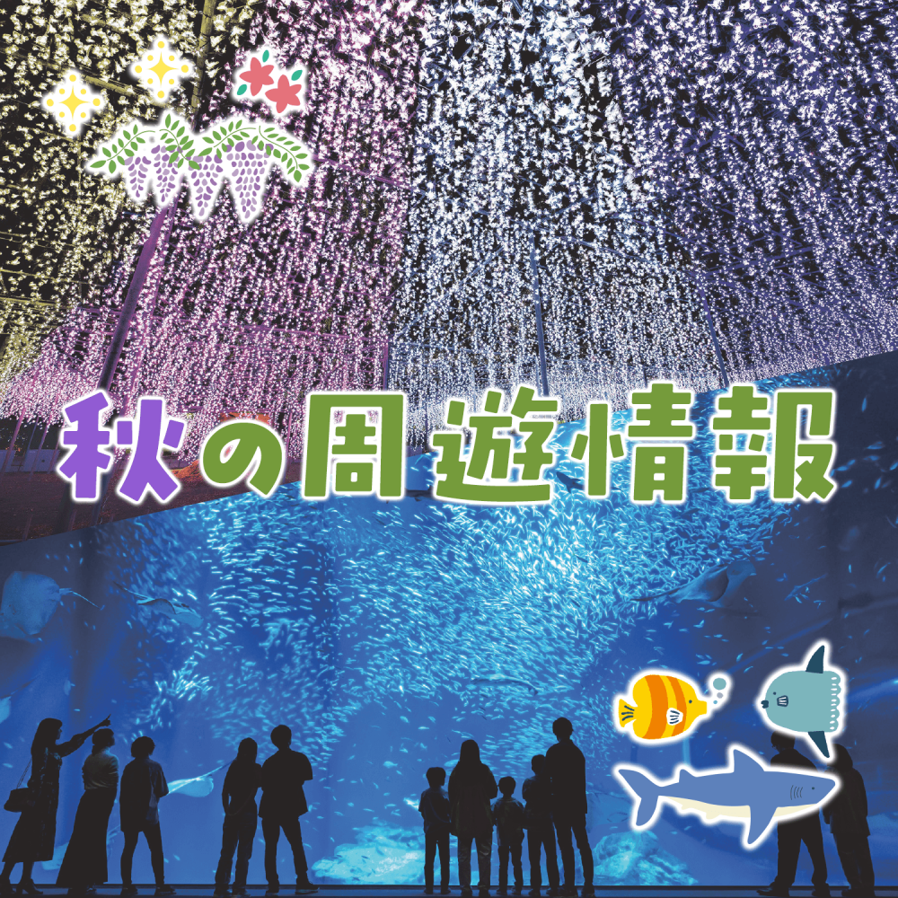 秋の周遊情報