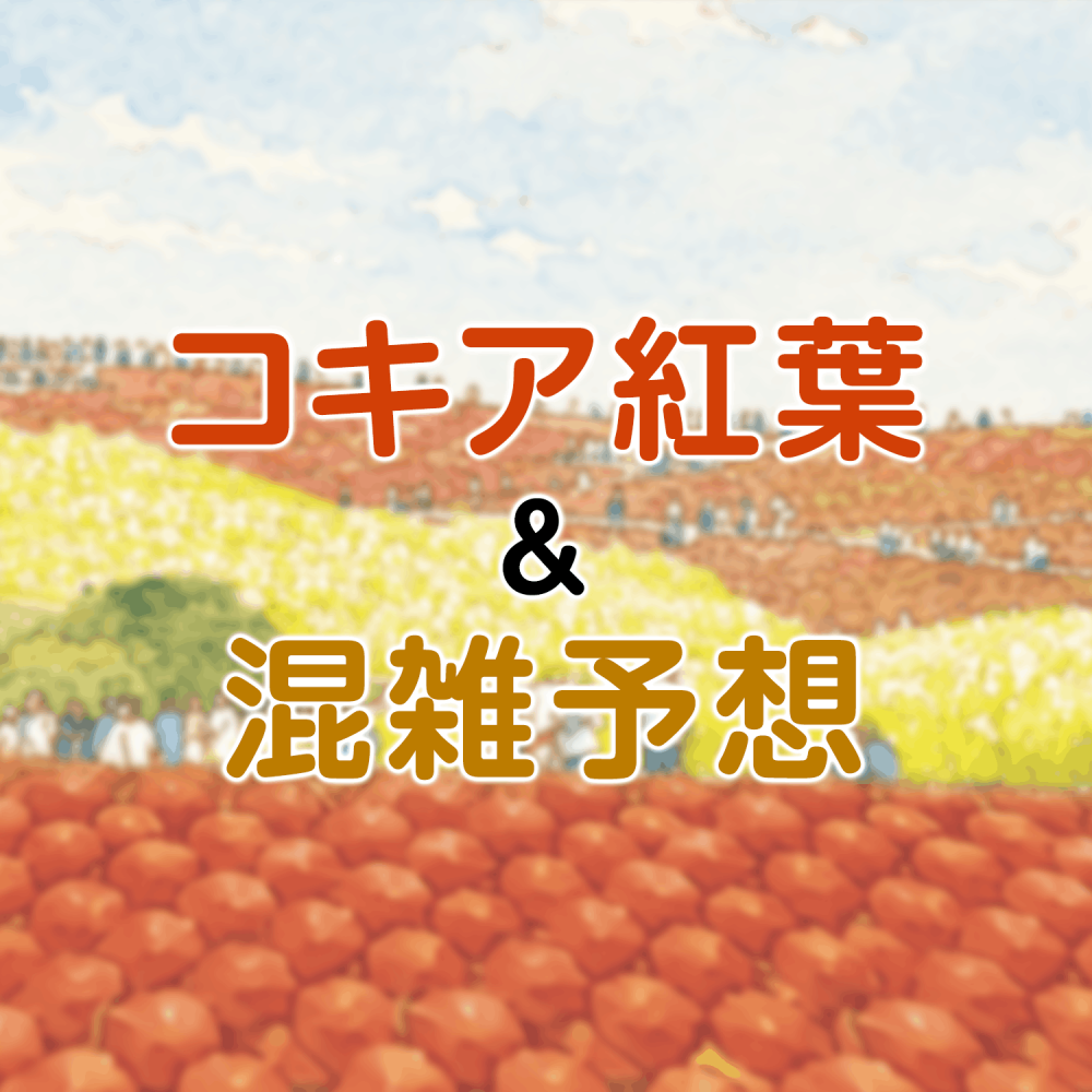 コキア紅葉 & 混雑予想