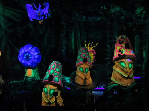IMG_0622-wpcf_500x375