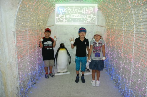 来園者