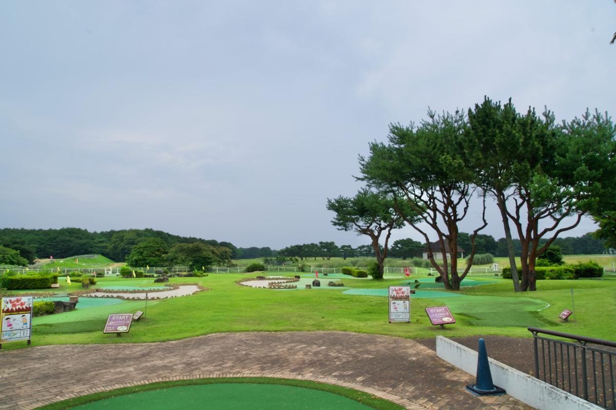 コース