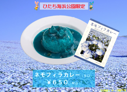ネモフィラカレー