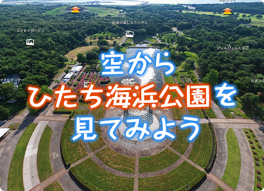 360度パノラマビュー