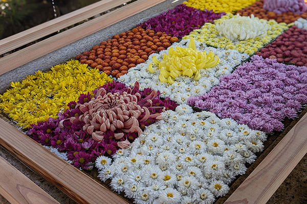 手水舎の花と、屋根まわりの彫刻